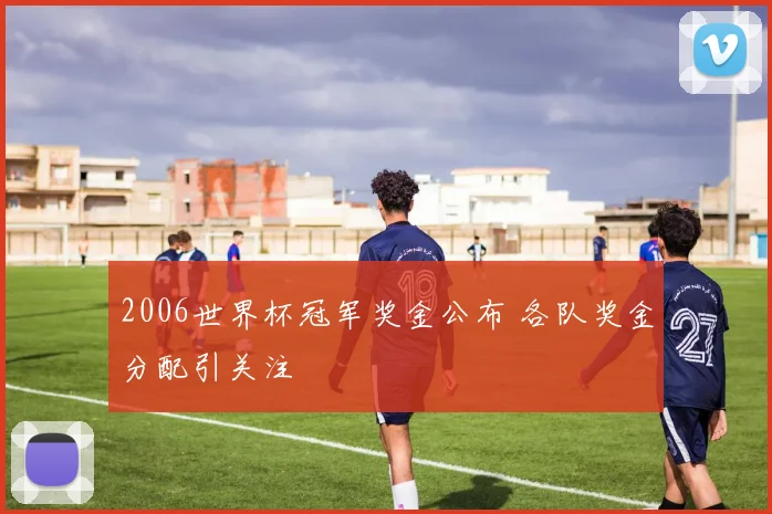 2006世界杯冠军奖金公布 各队奖金分配引关注